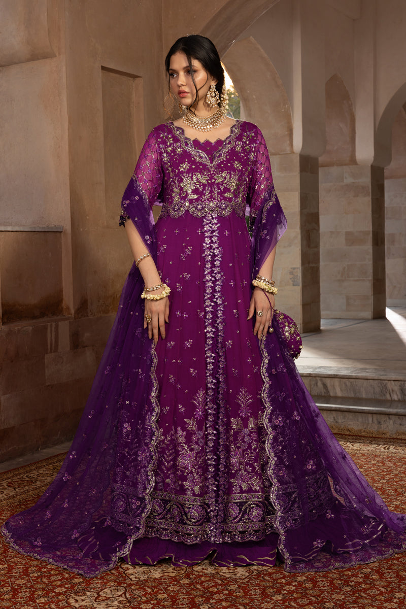 Aaliyah | CHIFFON FORMALS | RANG RASIYA