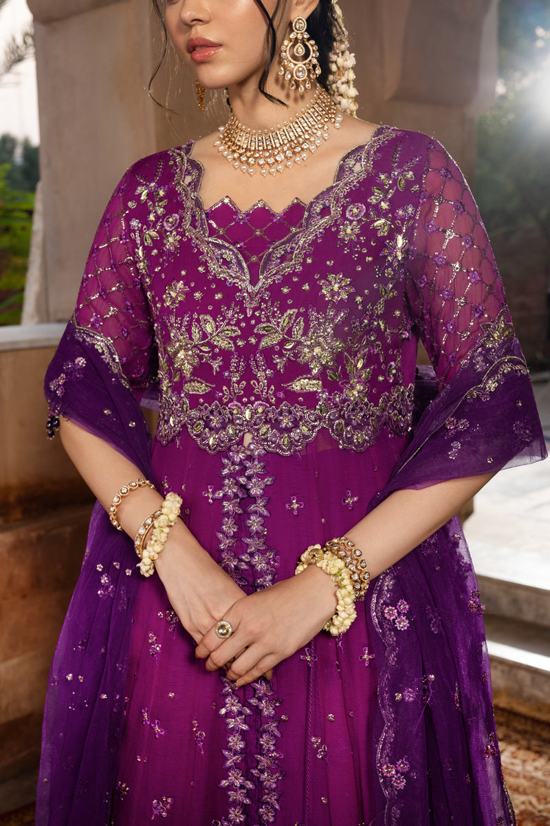 Aaliyah | CHIFFON FORMALS | RANG RASIYA