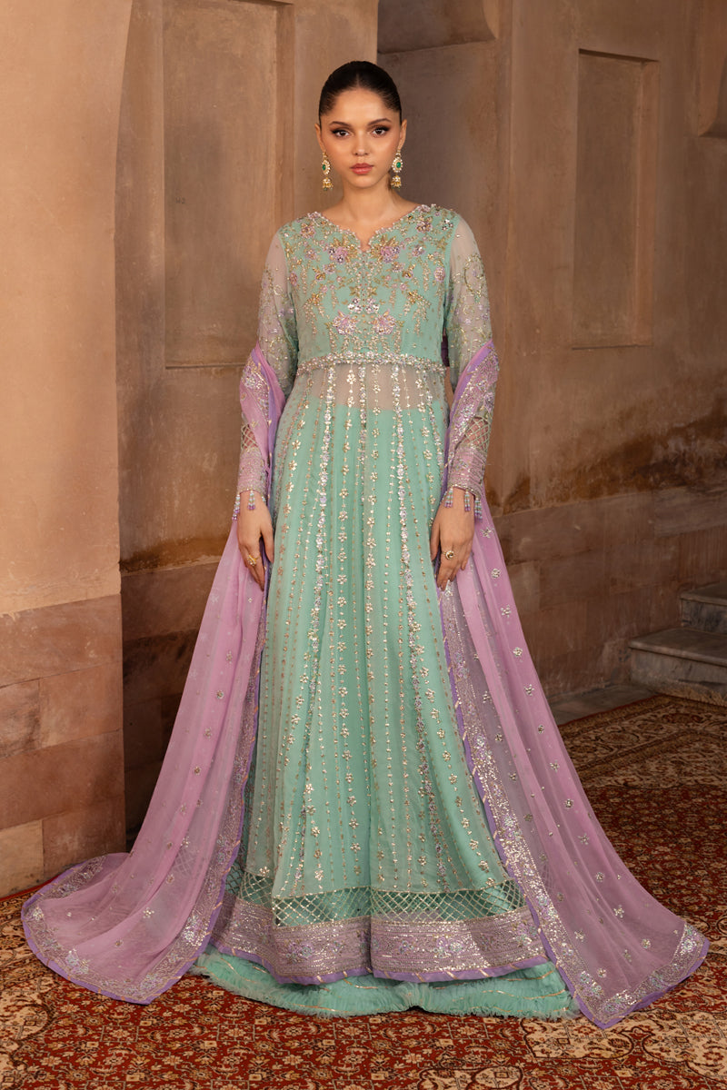 Zoha | CHIFFON FORMALS | RANG RASIYA