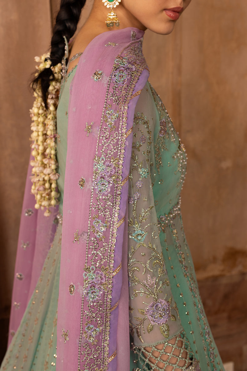 Zoha | CHIFFON FORMALS | RANG RASIYA