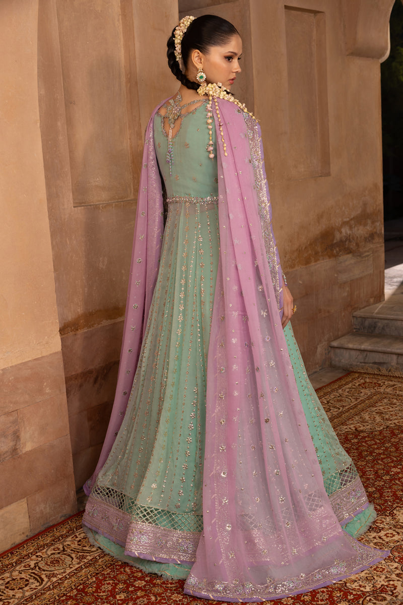 Zoha | CHIFFON FORMALS | RANG RASIYA