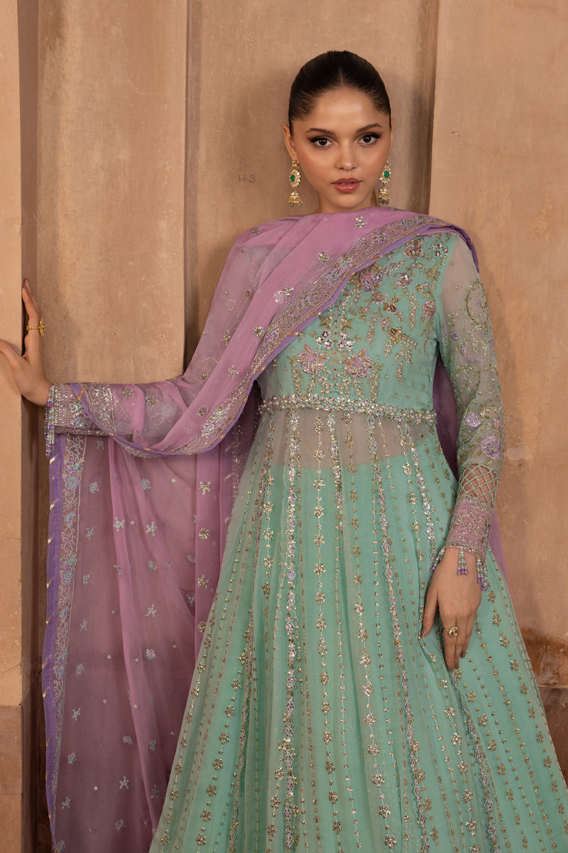 Zoha | CHIFFON FORMALS | RANG RASIYA