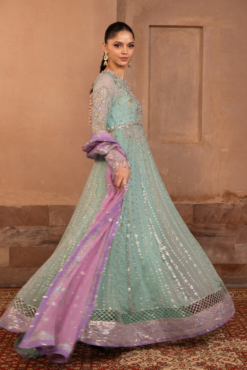 Zoha | CHIFFON FORMALS | RANG RASIYA