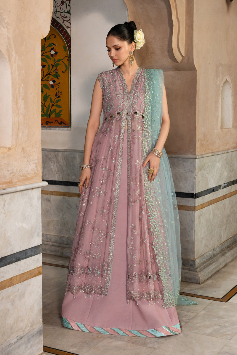 Mahiba | CHIFFON FORMALS | RANG RASIYA