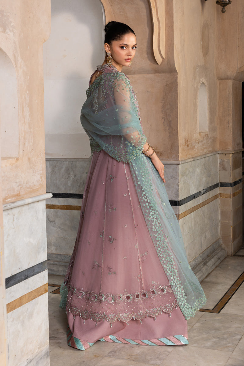 Mahiba | CHIFFON FORMALS | RANG RASIYA