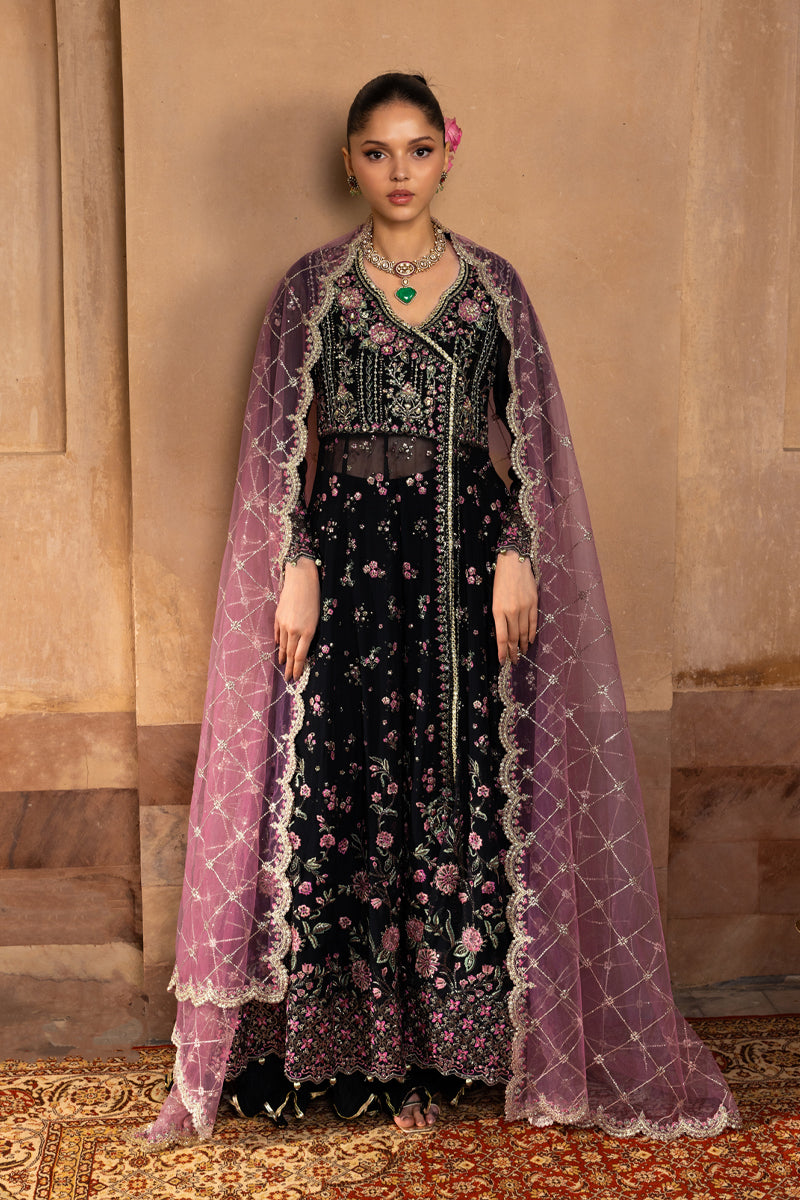 Sofia | CHIFFON FORMALS | RANG RASIYA