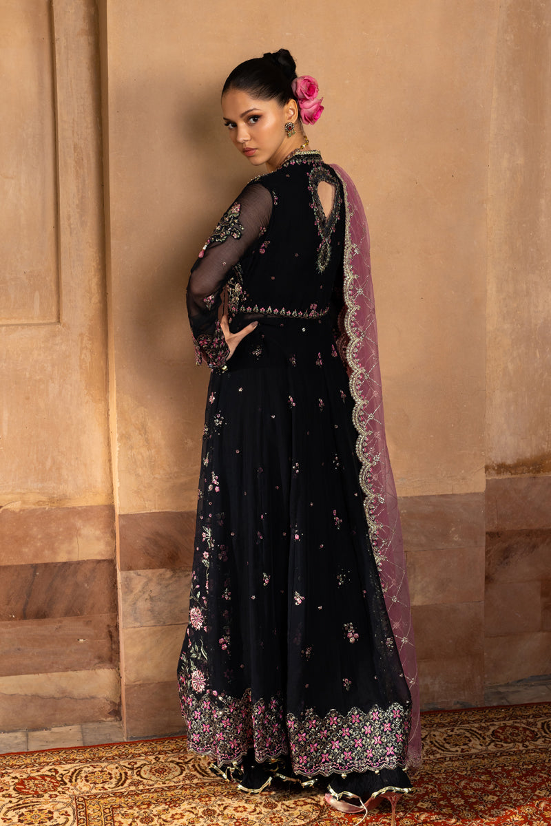 Sofia | CHIFFON FORMALS | RANG RASIYA