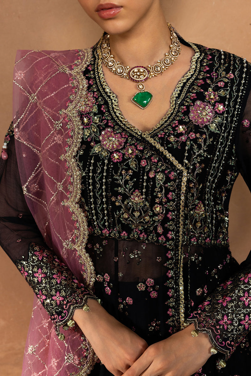 Sofia | CHIFFON FORMALS | RANG RASIYA