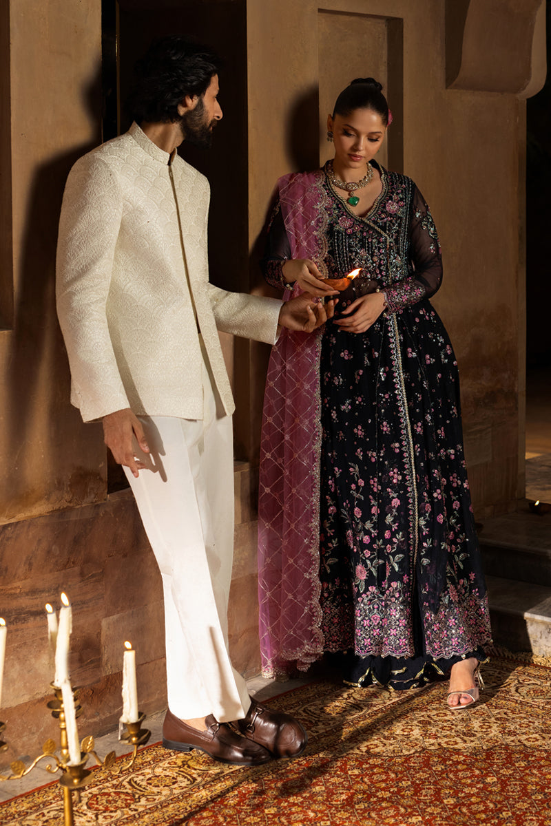 Sofia | CHIFFON FORMALS | RANG RASIYA