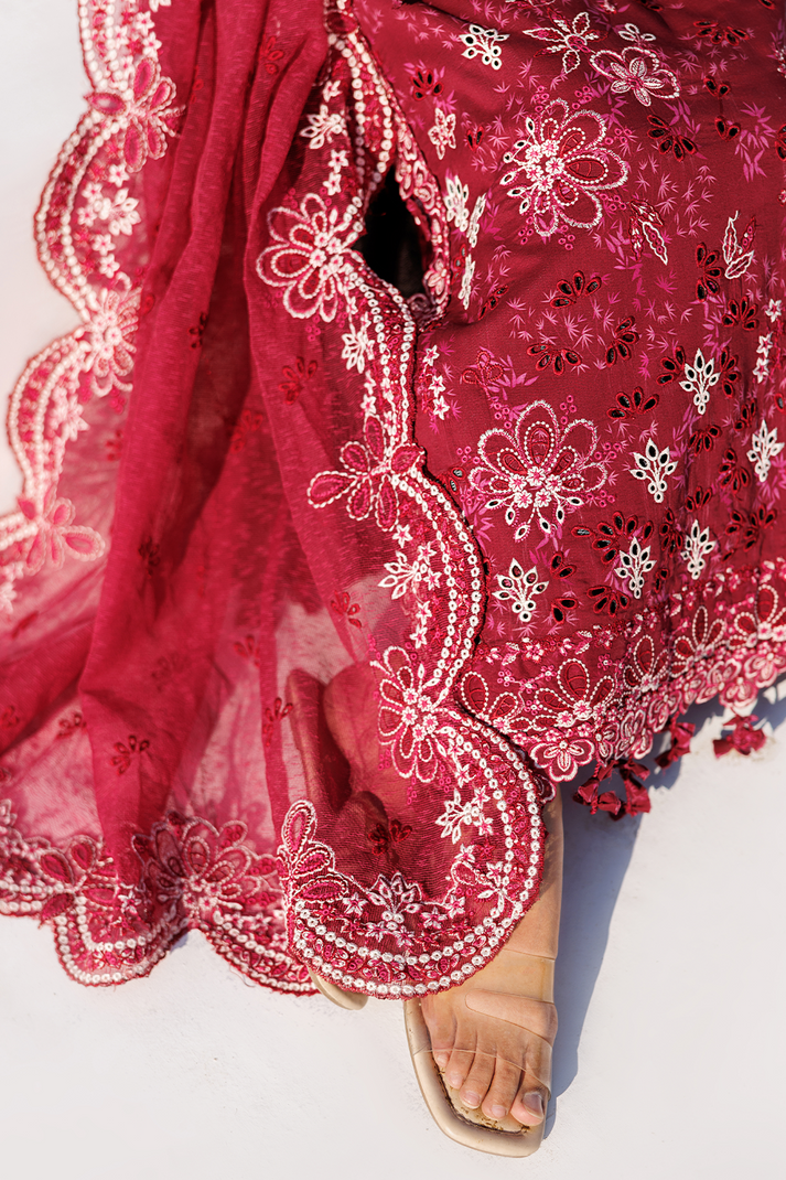 RADIANT ROSE | SUNLIT GROOVE | EMAAN ADEEL