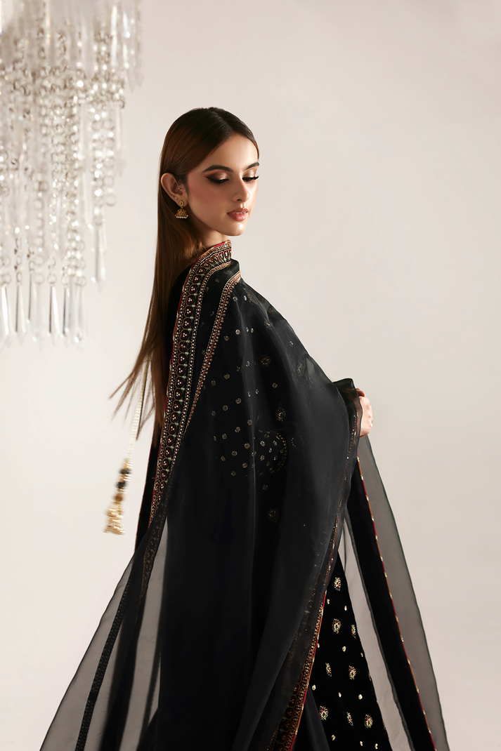 RAZIA | ZARPOSH VELVET COLLECTION | EMAAN ADEEL
