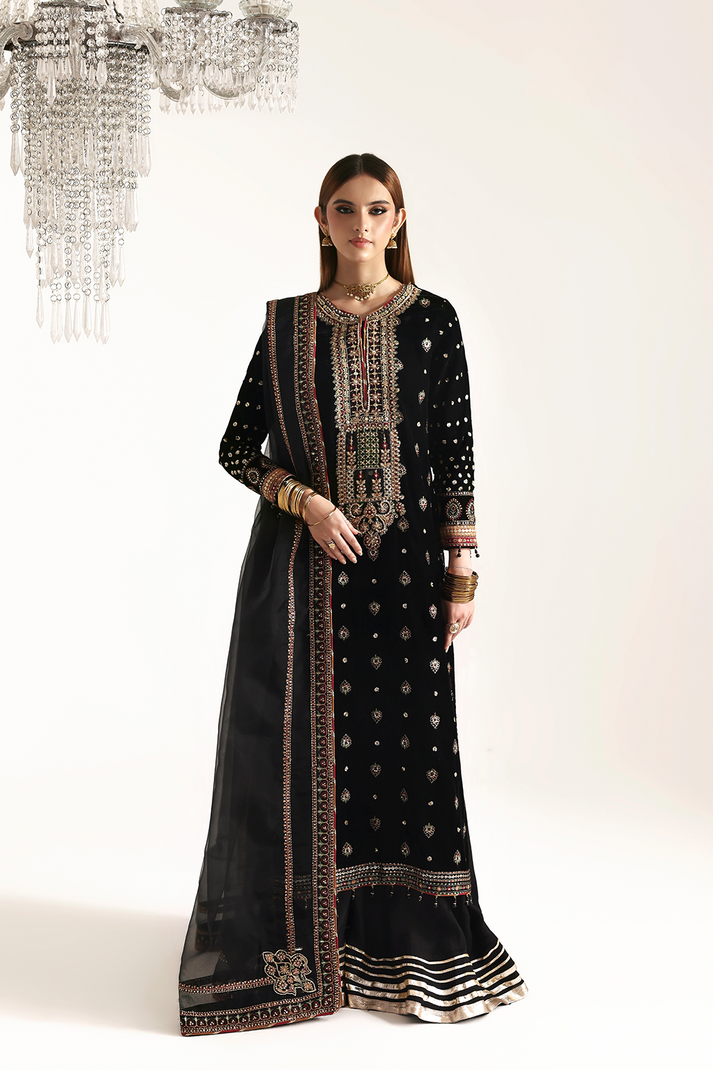 RAZIA | ZARPOSH VELVET COLLECTION | EMAAN ADEEL