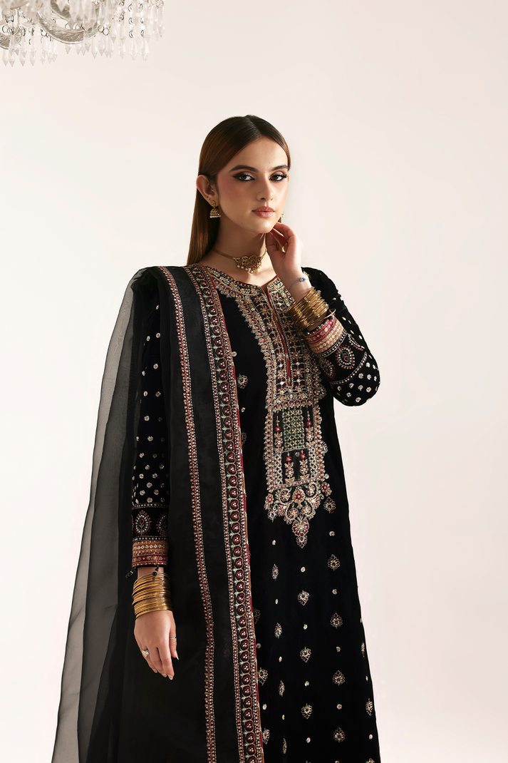 RAZIA | ZARPOSH VELVET COLLECTION | EMAAN ADEEL