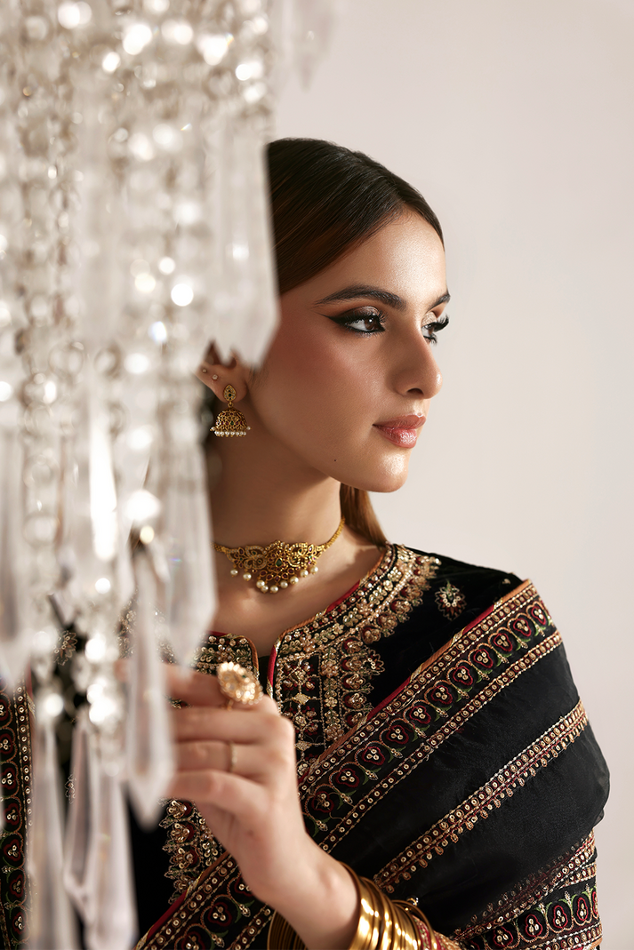 RAZIA | ZARPOSH VELVET COLLECTION | EMAAN ADEEL