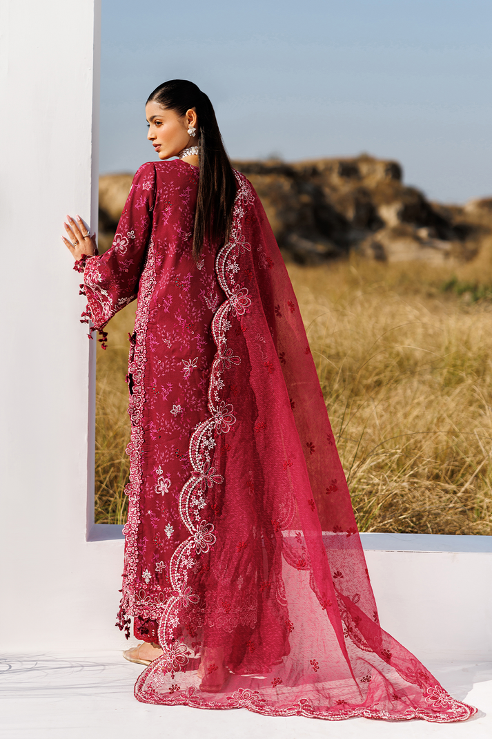 RADIANT ROSE | SUNLIT GROOVE | EMAAN ADEEL