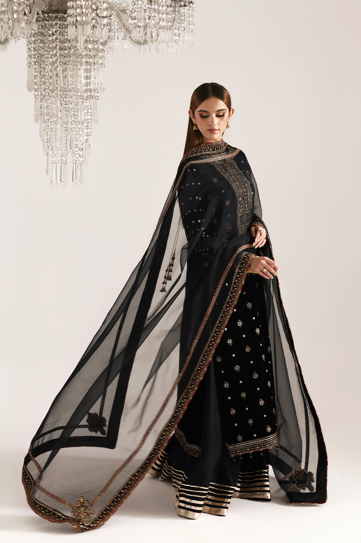 RAZIA | ZARPOSH VELVET COLLECTION | EMAAN ADEEL