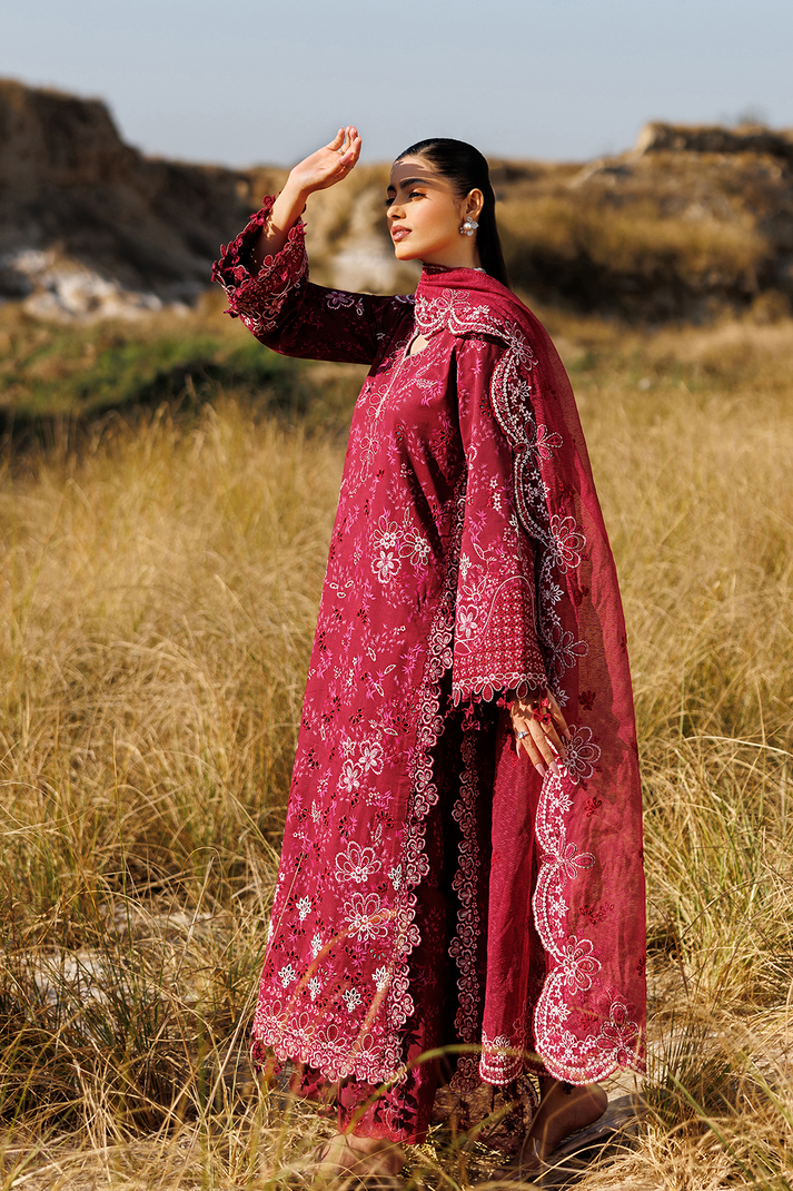 RADIANT ROSE | SUNLIT GROOVE | EMAAN ADEEL