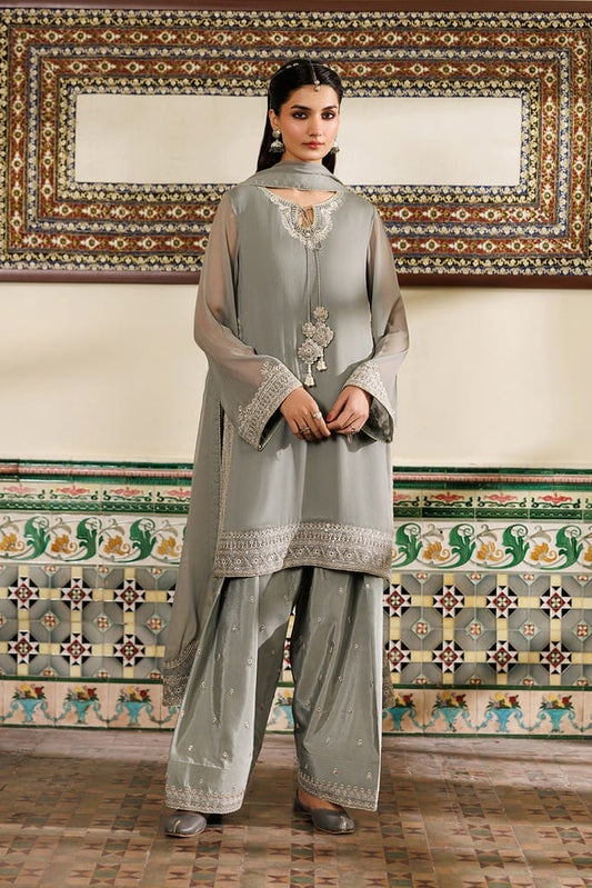 CC-91 Plain Chiffon | NOOR ANGAN SEMI FORMALS | IZNIK