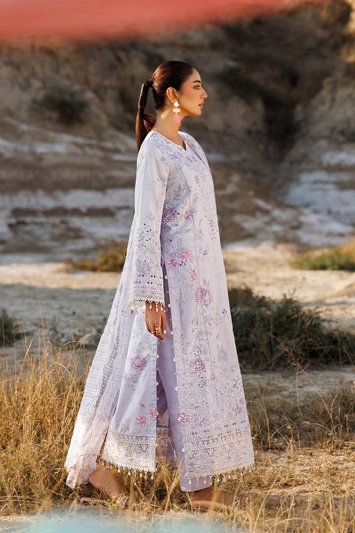 SUNLIT SWAY | SUNLIT GROOVE | EMAAN ADEEL