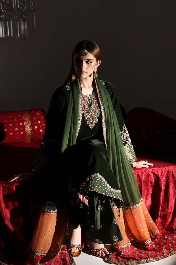 AARISH | ZARPOSH VELVET COLLECTION | EMAAN ADEEL