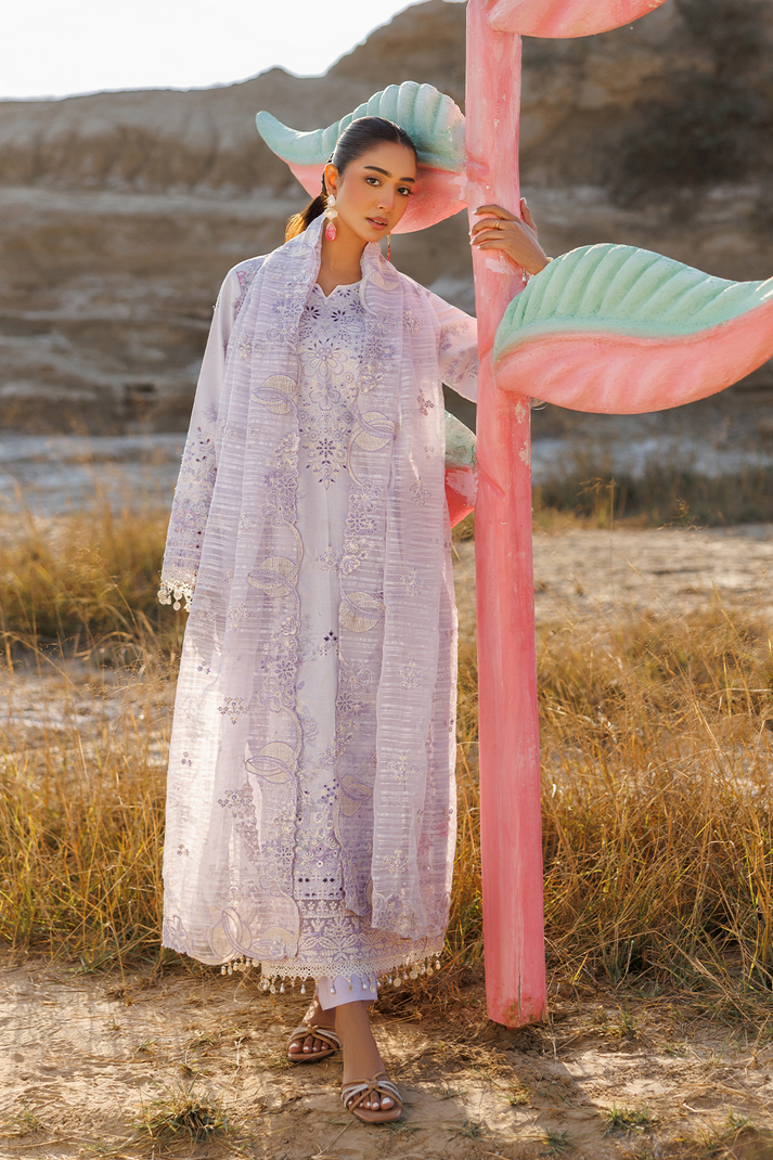 SUNLIT SWAY | SUNLIT GROOVE | EMAAN ADEEL