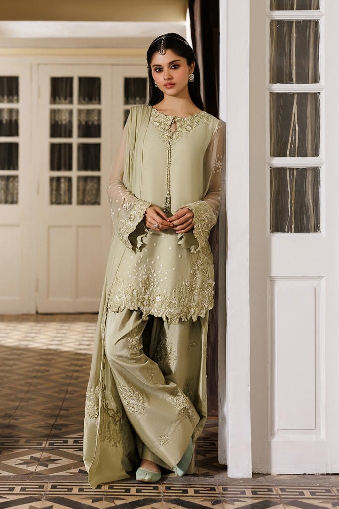 CC-101 Embroidered Chiffon | NOOR ANGAN SEMI FORMALS | IZNIK