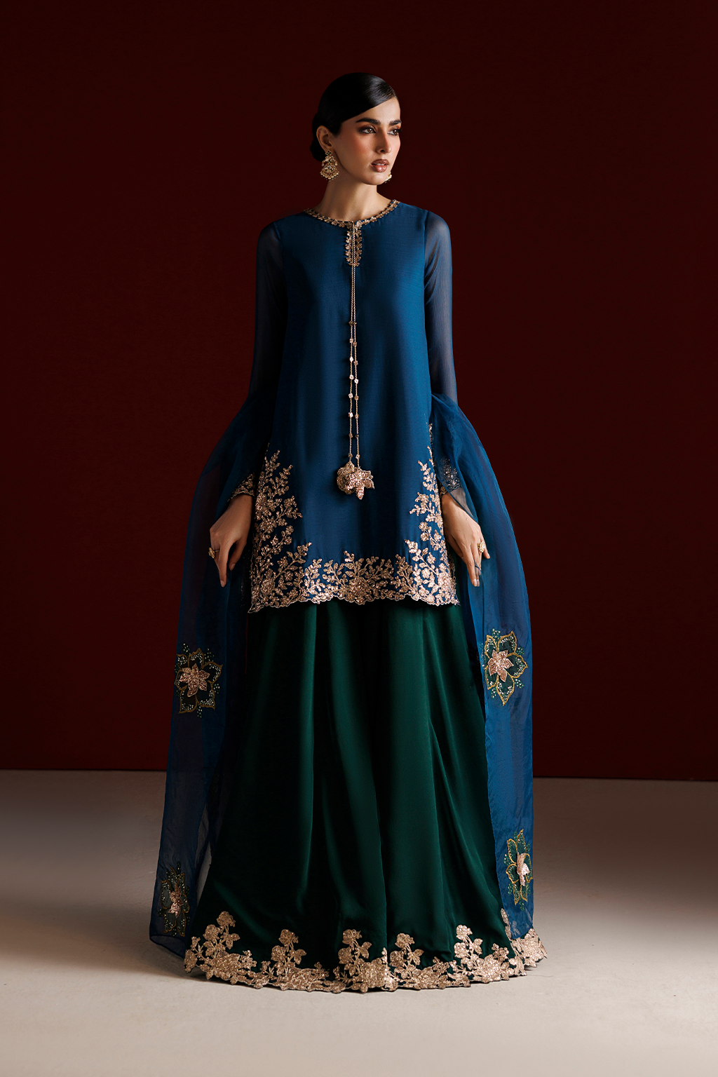 CC-102 Embroidered Chiffon | SEMI FORMALS VOL 1 | IZNIK in UK USA UAE online kapraye.com