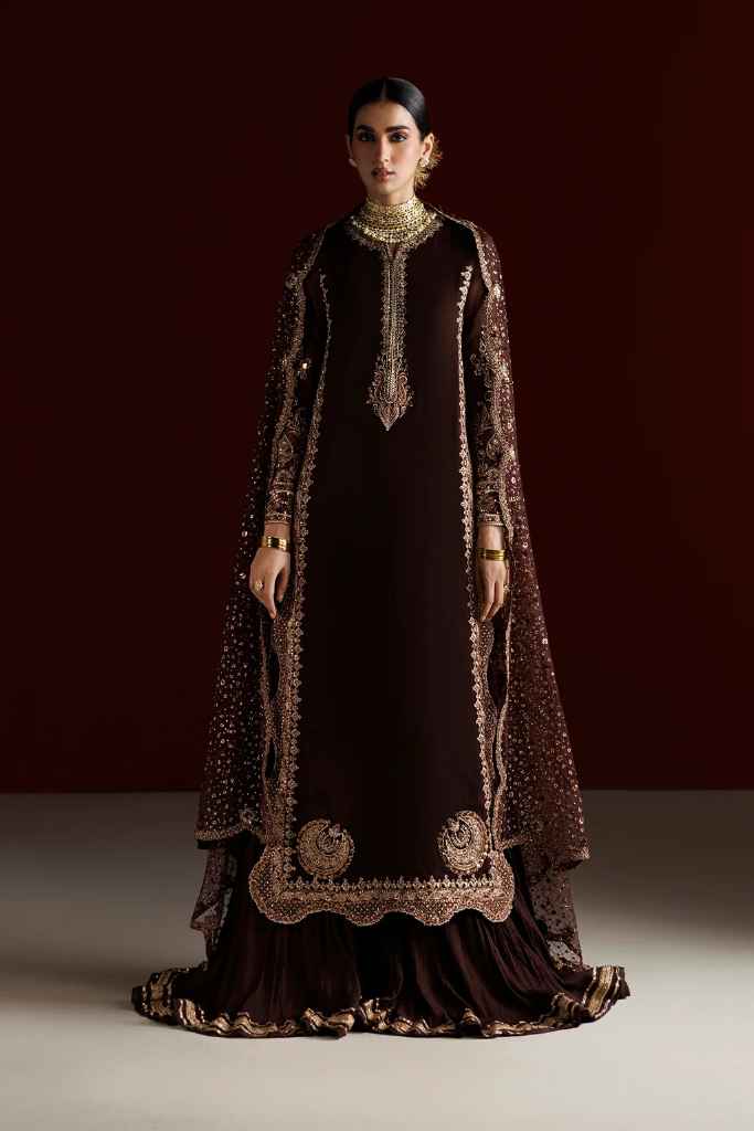 CC-113 Embroidered Chiffon | SEMI FORMALS VOL 1 | IZNIK in UK USA UAE online kapraye.com