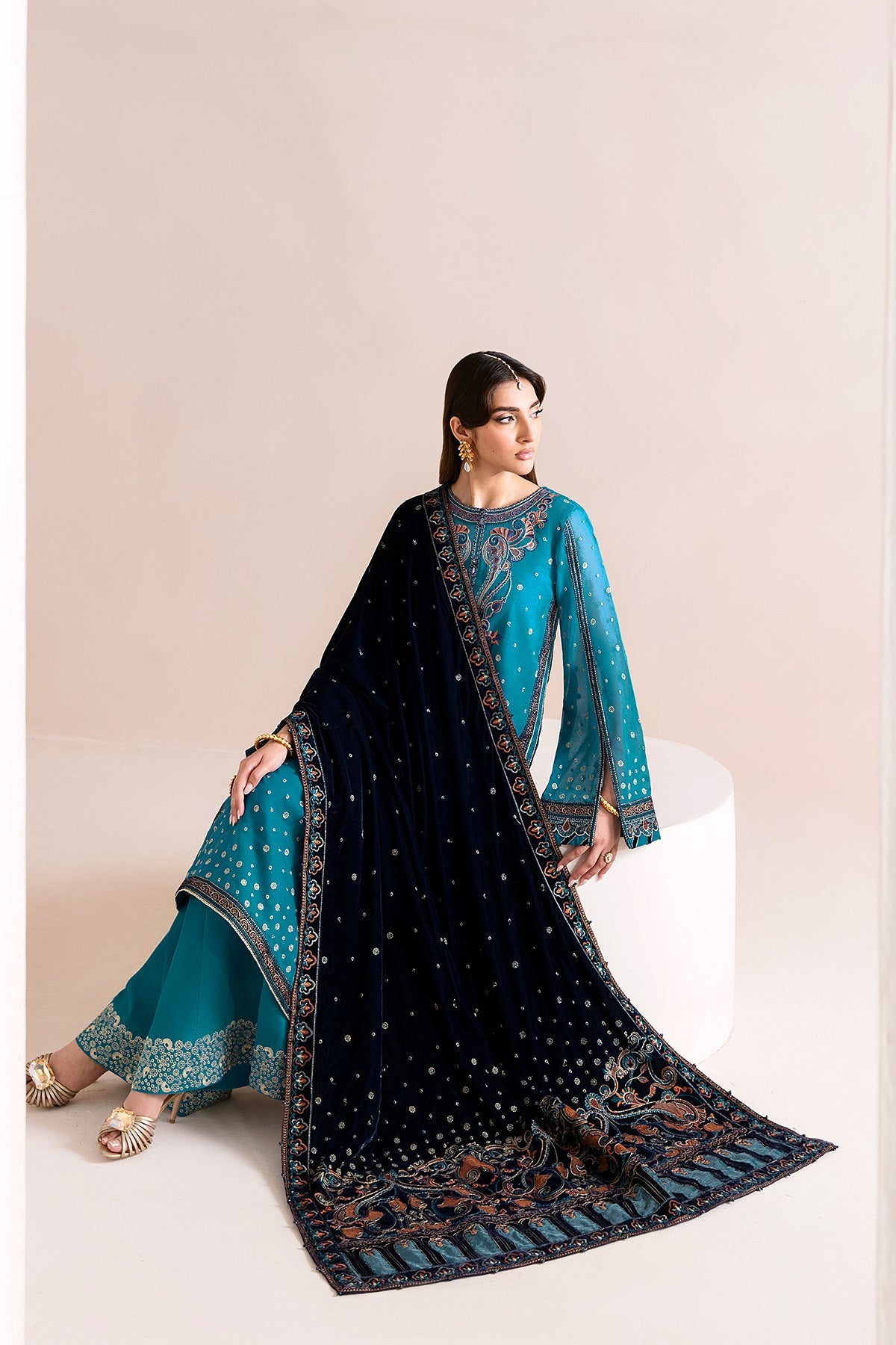 AF-VLT-2225-Nelofer | MAKHMAL - Luxury Velvet Edit | ALIZEH FASHION