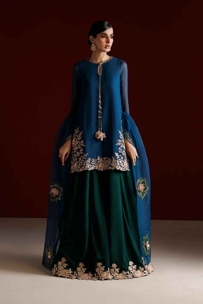 CC-102 Embroidered Chiffon | SEMI FORMALS VOL 1 | IZNIK in UK USA UAE online kapraye.com