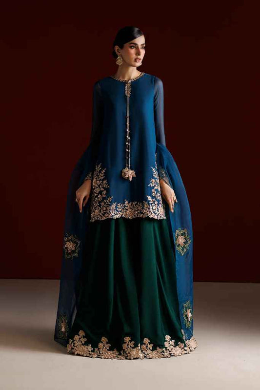 CC-102 Embroidered Chiffon | SEMI FORMALS VOL 1 | IZNIK in UK USA UAE online kapraye.com