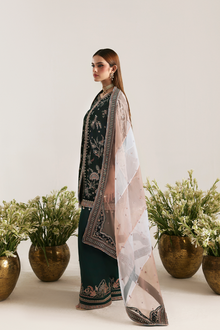 MEHRUUNISA | ZARPOSH VELVET COLLECTION | EMAAN ADEEL