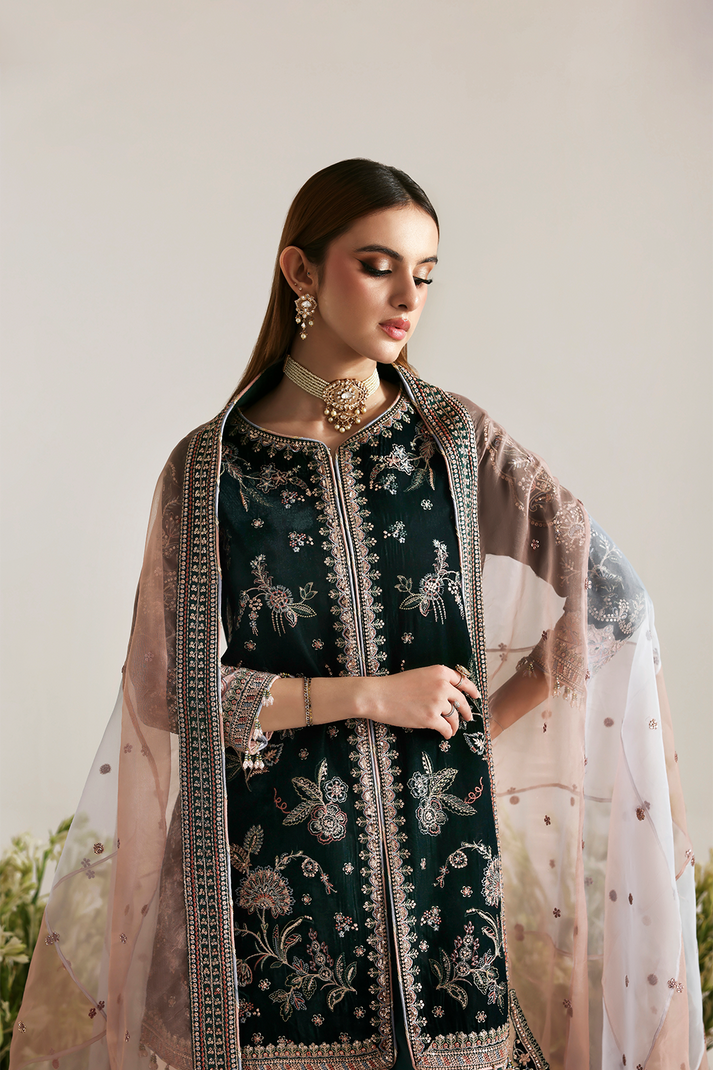 MEHRUUNISA | ZARPOSH VELVET COLLECTION | EMAAN ADEEL