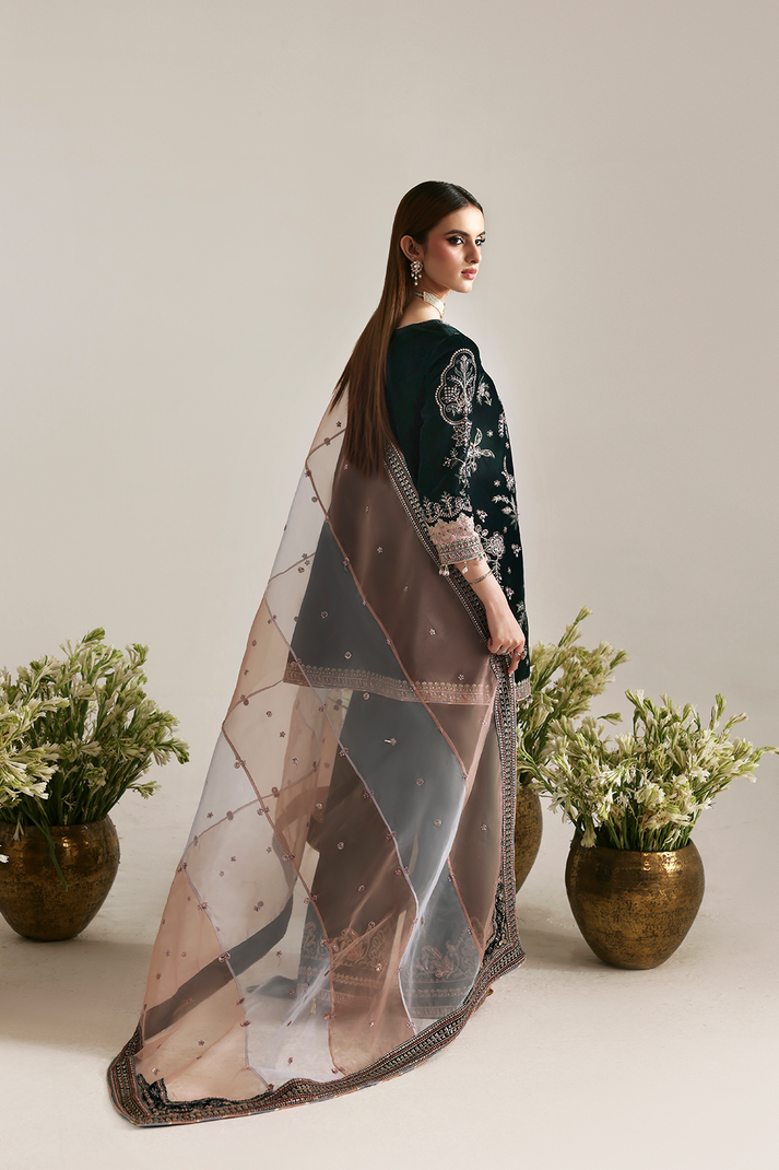 MEHRUUNISA | ZARPOSH VELVET COLLECTION | EMAAN ADEEL