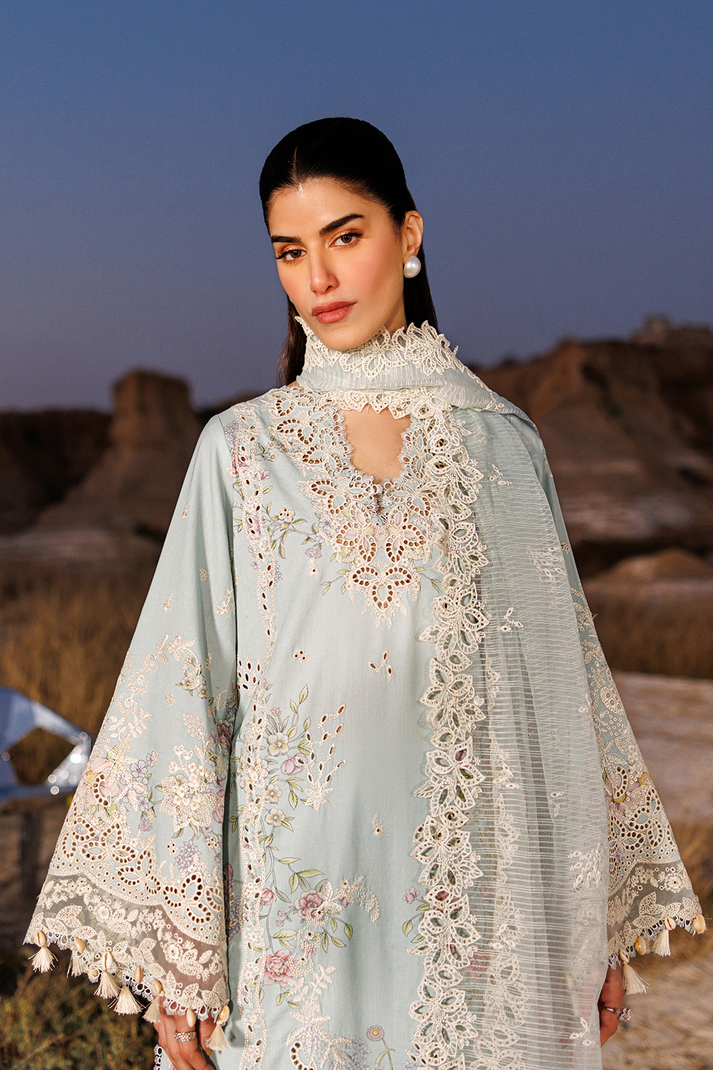 MORNING DEW | SUNLIT GROOVE | EMAAN ADEEL