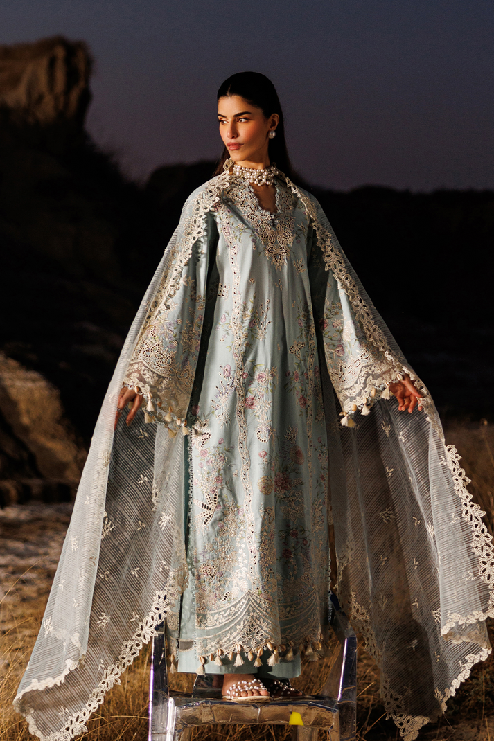 MORNING DEW | SUNLIT GROOVE | EMAAN ADEEL