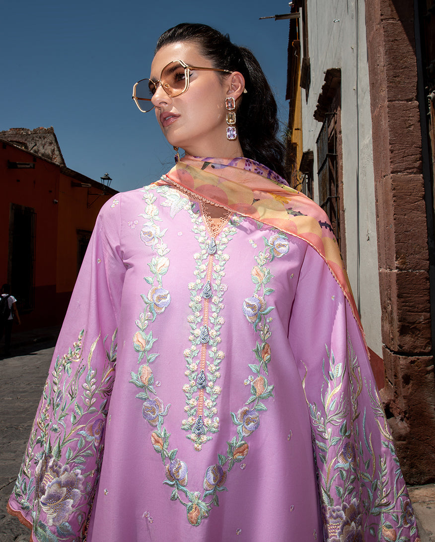 Alba | ODYSSEY | LAWN '26 | MUSHQ