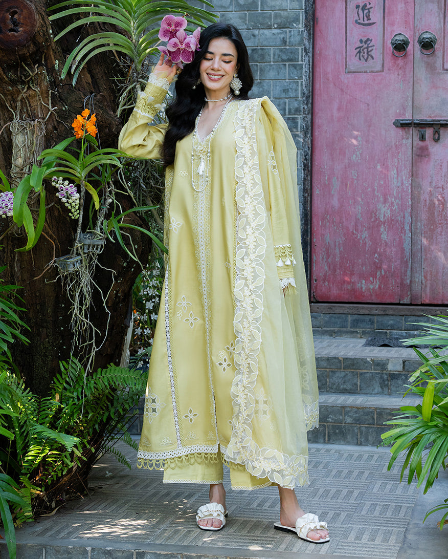 Bella Vigna | Casual Pret'26 | MUSHQ
