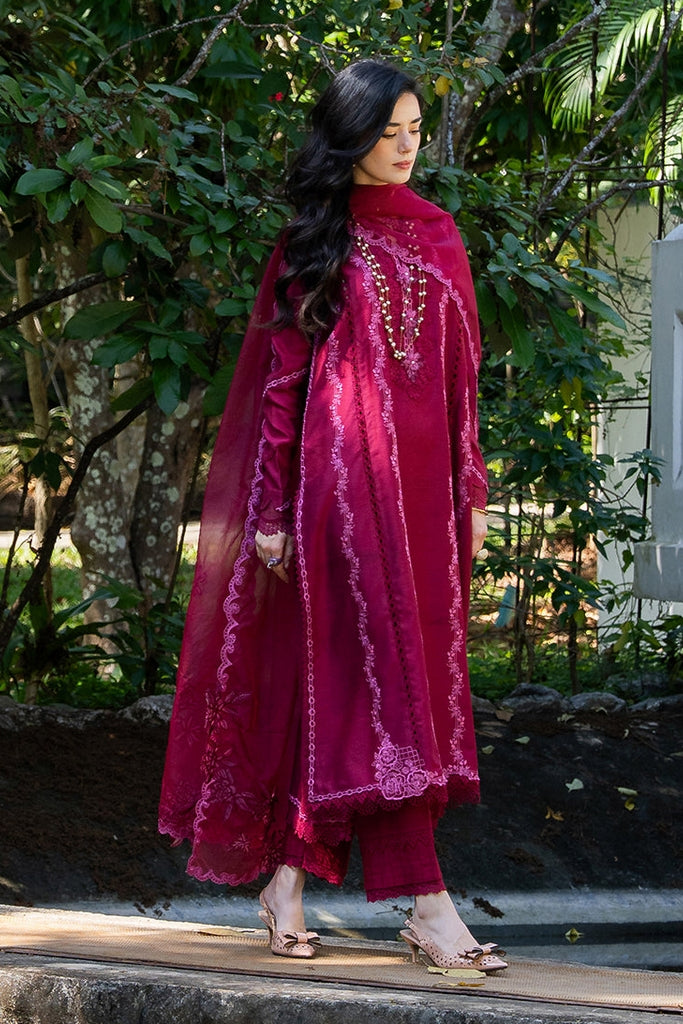Blush Vineyard | Casual Pret'26 | MUSHQ