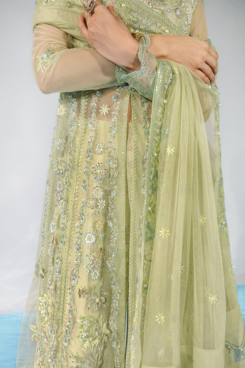 CATALINA || CHATOYER WEDDING FORMALS || RANG RASIYA in UK USA UAE online kapraye.com