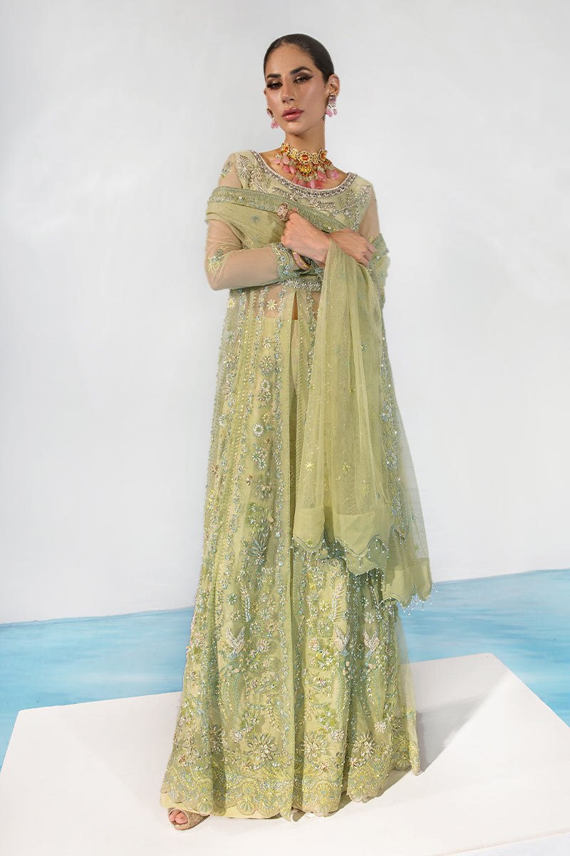 CATALINA || CHATOYER WEDDING FORMALS || RANG RASIYA in UK USA UAE online kapraye.com