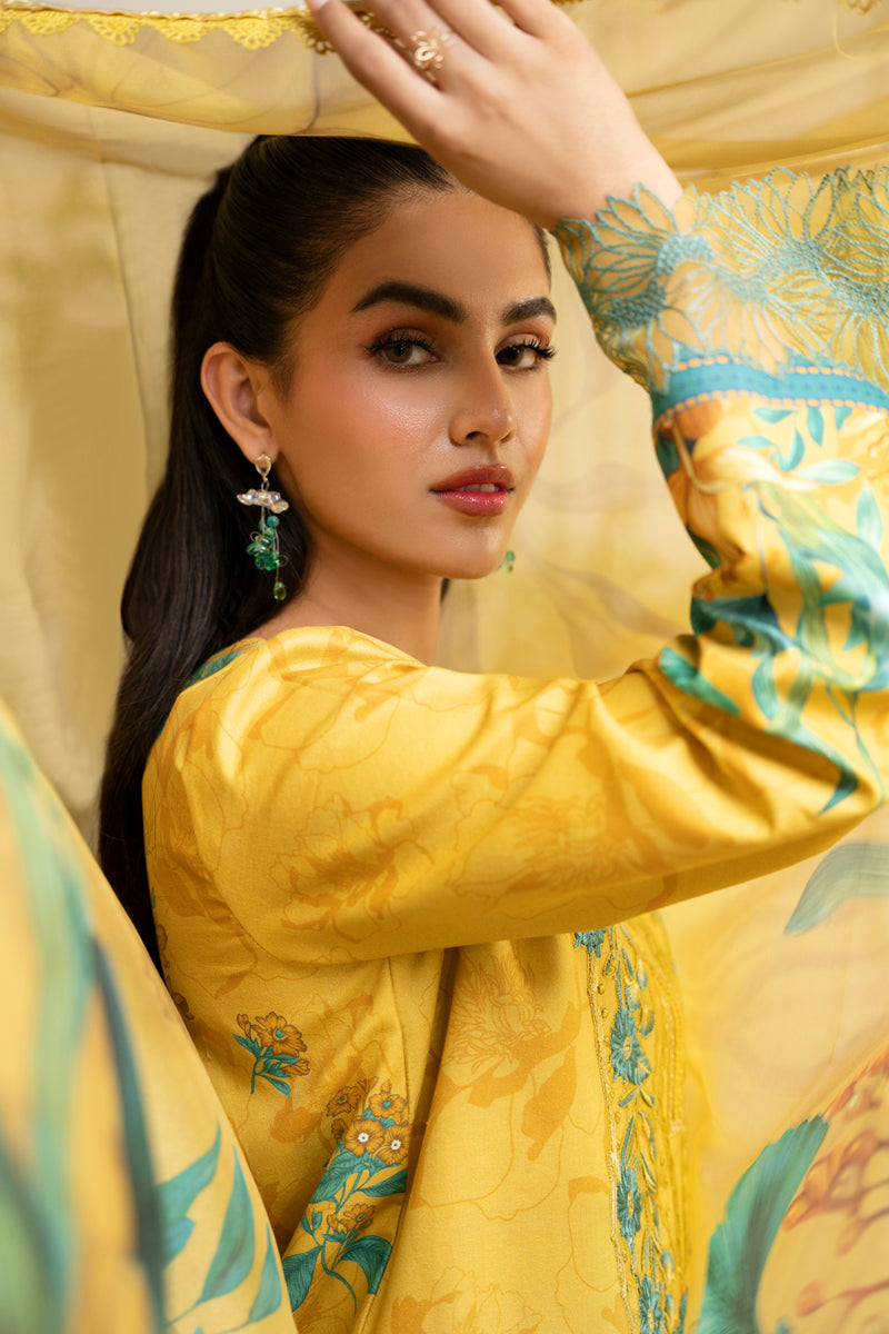 SERENA | LIFESTYLE EMBROIDERED EDIT '24 | RANG RASIYA