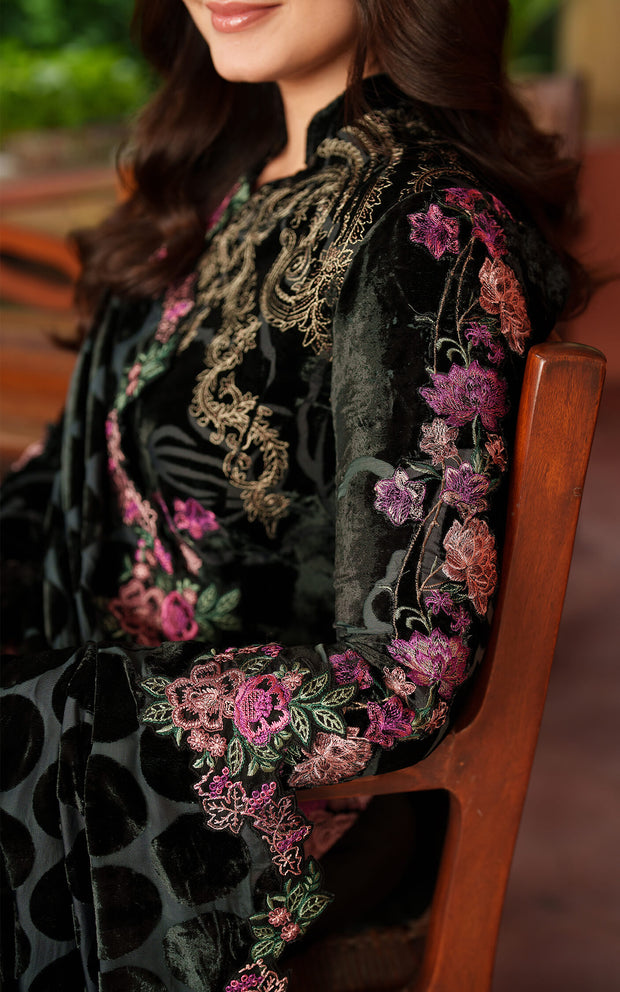 Eira LWC25-02 | PASHMINA LUXE | ASIFA N NABEEL