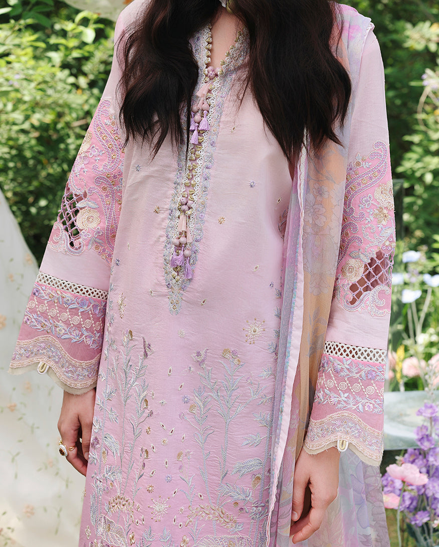 Enchanted Vine | The Secret Garden Lawn '26 | MUSHQ