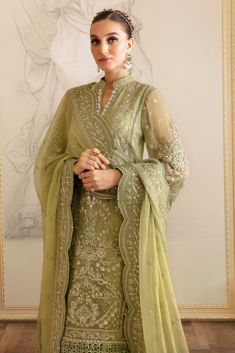 Almendra | Embroidered Chiffon | GULAAL in UK USA UAE online kapraye.com