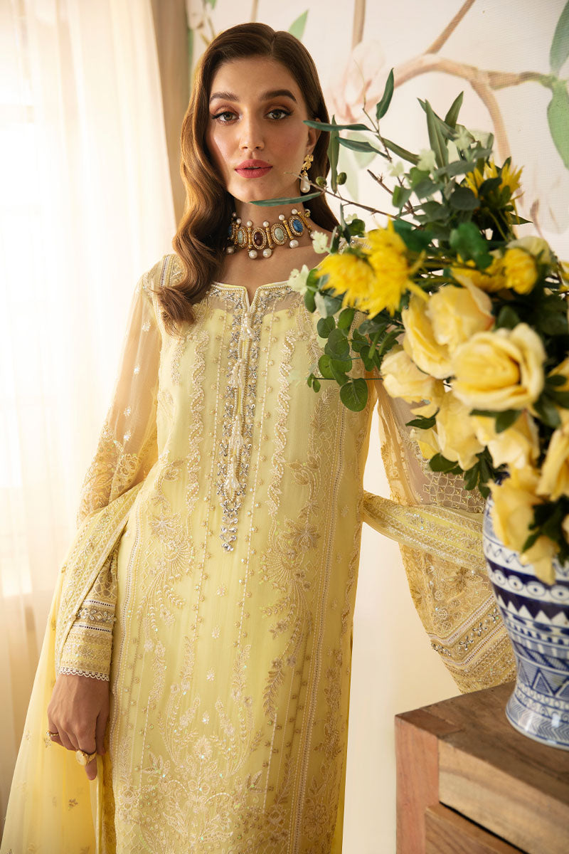 Estrella | Embroidered Chiffon | GULAAL in UK USA UAE online kapraye.com