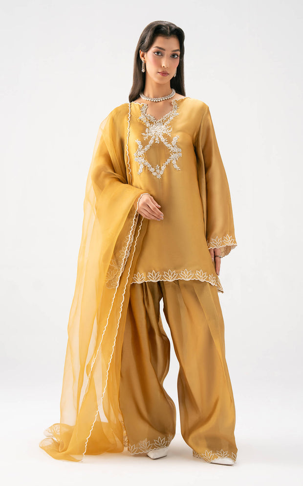 Golden Reverie | CELEVARA | ASIFA N NABEEL