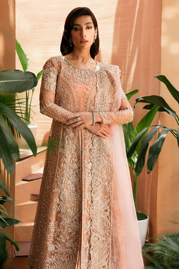 CORALLINA || TUSCANY LUXURY FORMALS || MUSHQ in UK USA UAE online kapraye.com