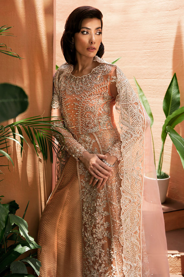 CORALLINA || TUSCANY LUXURY FORMALS || MUSHQ in UK USA UAE online kapraye.com