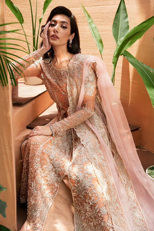 CORALLINA || TUSCANY LUXURY FORMALS || MUSHQ in UK USA UAE online kapraye.com